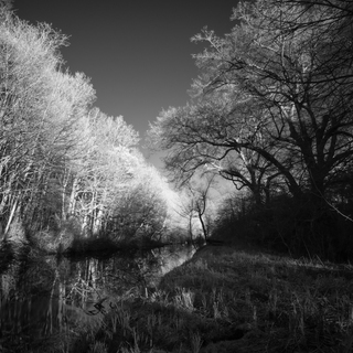 Andreas Kern, Fotografie, fotografiera, Wald und Wasser 1, Natur, Wald, Wasser, Fluss, Kanal